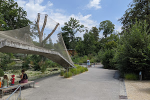 Stiftung Bärenpark Bern