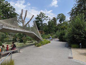 Stiftung Bärenpark Bern