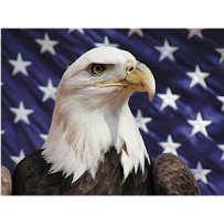 San Antonio Tax Prep LLC - Photo 5 - Car repair in San Antonio, TX, San Antonio