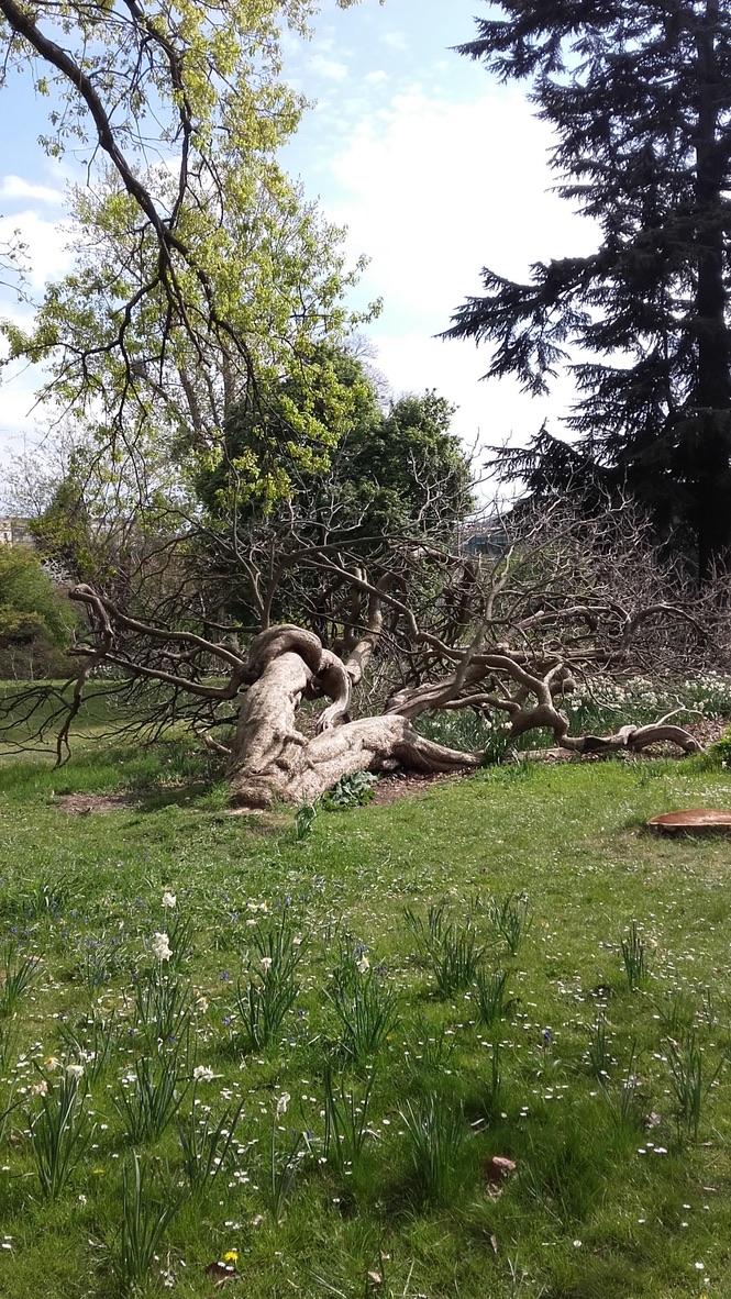 Photo n° 15 de l'avis de Jane.e fait le 10/04/2021 à 15:17