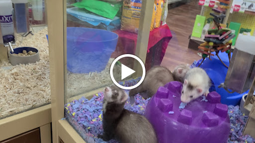 Pet Supply Store «Pet Supermarket», reviews and photos, 11160 Panama City Beach Pkwy #402, Panama City Beach, FL 32407, USA