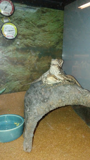 Pet Supply Store «Petco Animal Supplies», reviews and photos, 1250 N Germantown Pkwy #112, Cordova, TN 38016, USA