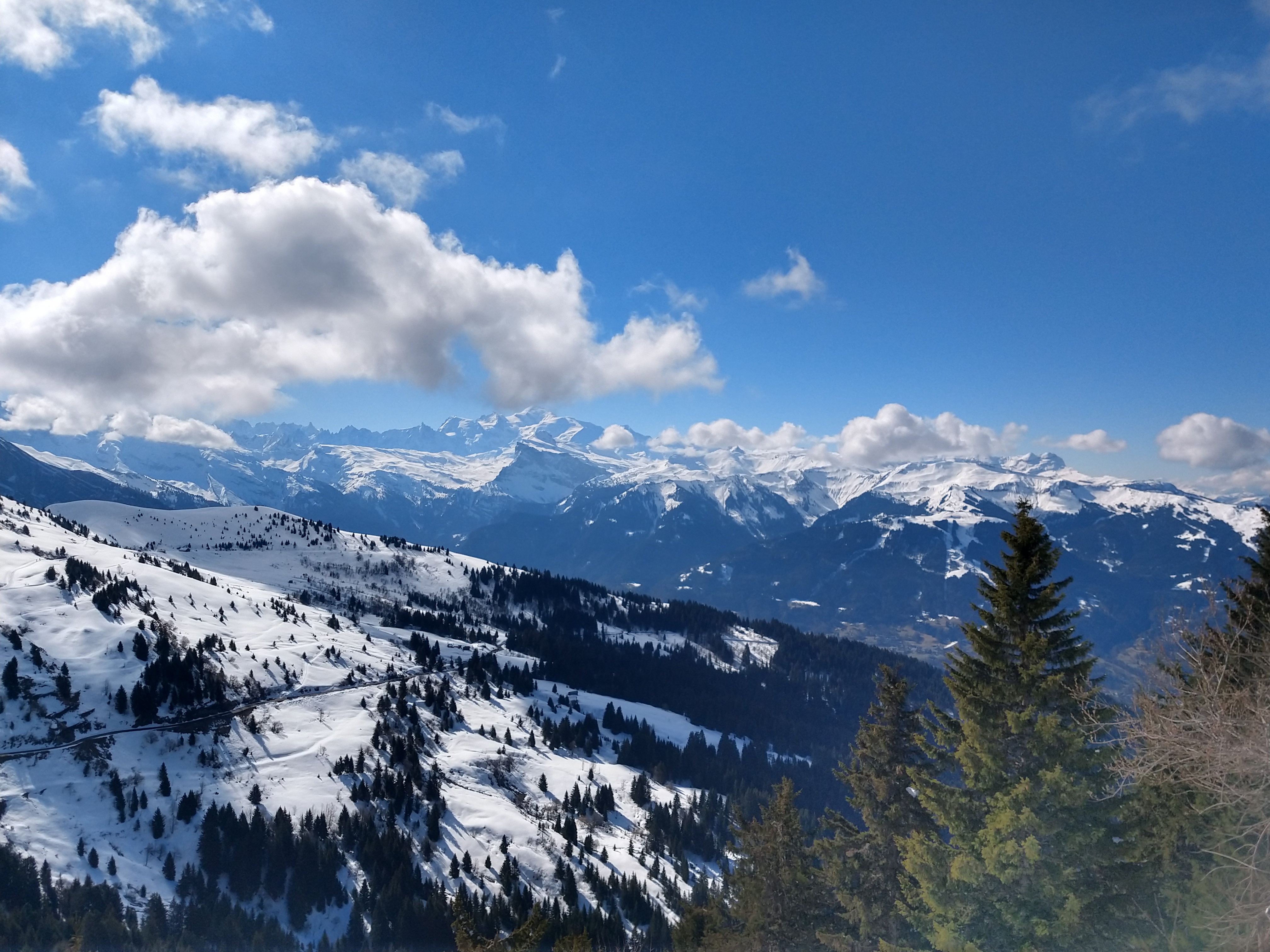 Photo n° 1 de l'avis de Piet.a fait le 17/04/2019 à 12:41