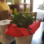 Photo n°4 de l'avis de Veronica.a fait le 13/05/2018 à 11:40 sur le  Viscuso à Aci Castello