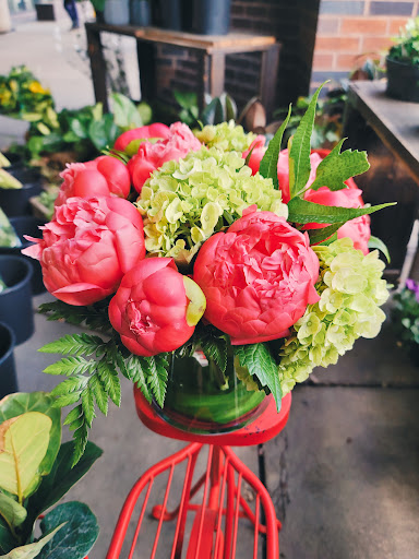 Florist «Fresco Flowers - Back Bay Station», reviews and photos, 145 Dartmouth St, Boston, MA 02116, USA