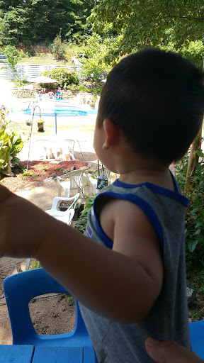 Water Park «Sun Crest Water Park», reviews and photos, 6806 All Healing Springs Rd, Taylorsville, NC 28681, USA