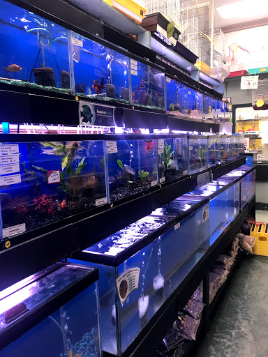 Pet Supply Store «Petland Discounts - Jamaica», reviews and photos, 17133 Hillside Avenue, Jamaica, NY 11432, USA