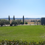 Photo n°5 de l'avis de Maurizia.a fait le 17/07/2021 à 10:22 sur le  La Baracchina à Orciano Pisano