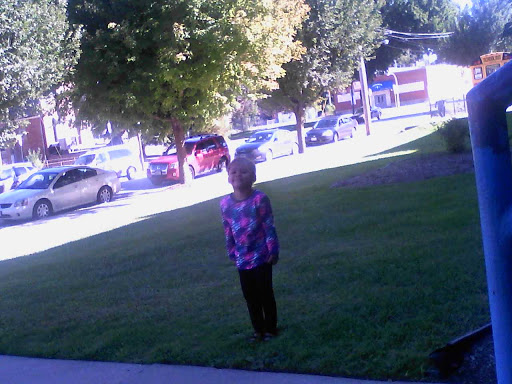 Nature Preserve «Van Vlissingen Prairie», reviews and photos, 1735 East 96th Street, Chicago, IL 60617, USA