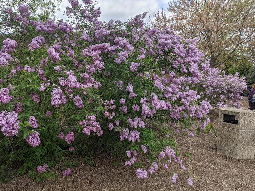 Park «Lilacia Park», reviews and photos, 150 S Park Ave, Lombard, IL 60148, USA