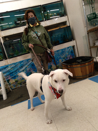 Pet Store «7 Seas Pet Care Center», reviews and photos, 13311 S Brandon Ave, Chicago, IL 60633, USA