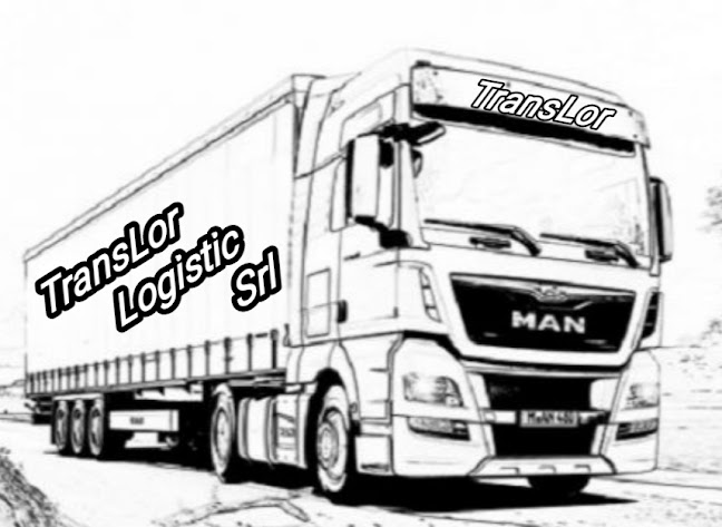 TransLor Logistic Srl - Servicii de mutare