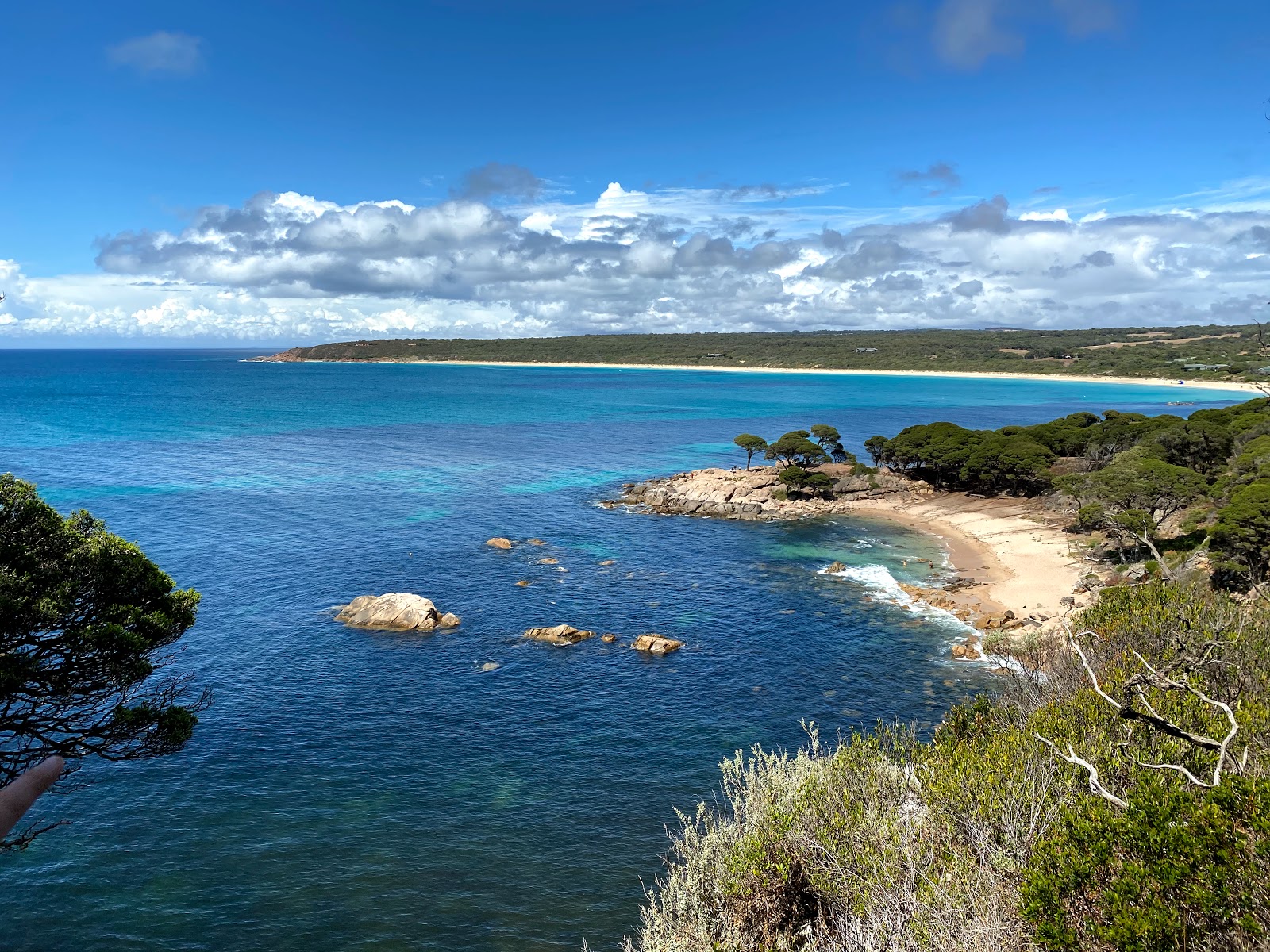 Shelley Cove Beach'in fotoğrafı çok temiz temizlik seviyesi ile
