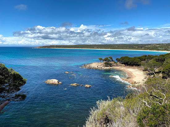 Shelley Cove Beach