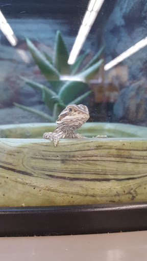 Pet Supply Store «Petco Animal Supplies», reviews and photos, 346 NY-25A #140, Rocky Point, NY 11778, USA