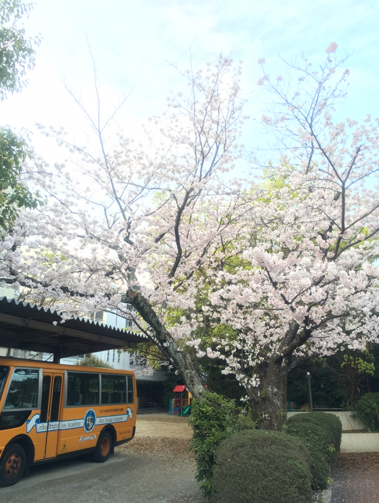 慶光幼稚園