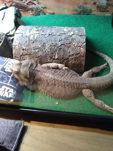 Pet Supply Store «Petco Animal Supplies», reviews and photos, 415 E University Dr, Granger, IN 46530, USA