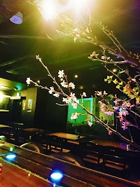八-Octo-