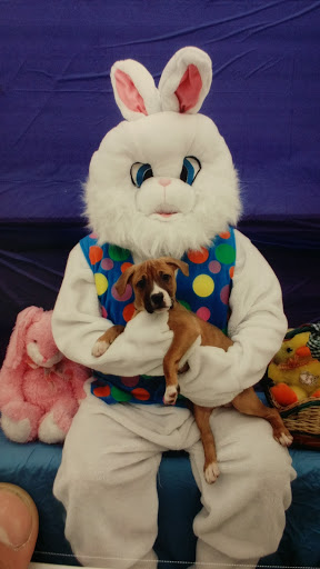 Pet Supply Store «Pet Supplies Plus», reviews and photos, 31029 Harper Ave, St Clair Shores, MI 48082, USA