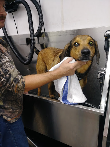 Pet Supply Store «Pet Supplies Plus», reviews and photos, 946 Joliet St, Dyer, IN 46311, USA