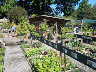 Mount Venus Nursery