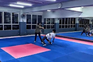 Wenwu Martial Arts Club image