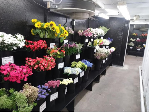 Florist «Radebaugh Florist and Greenhouses», reviews and photos, 120 Burke Ave, Towson, MD 21286, USA