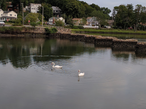 Nature Preserve «Cove Island Wildlife Sanctuary», reviews and photos, 1125 Cove Rd, Stamford, CT 06902, USA