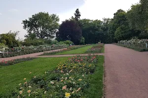 Rosengarten, Dresden image