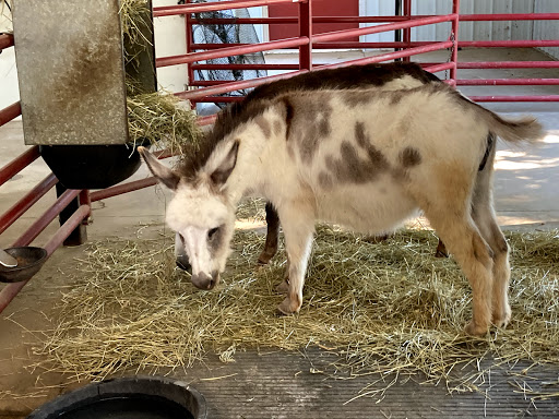 Zoo «Sibley Farm», reviews and photos, 900 Mound Avenue, Mankato, MN 56001, USA