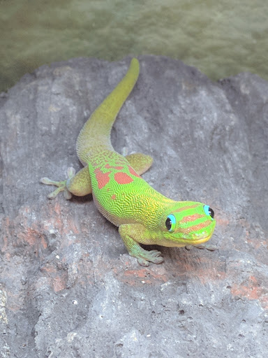 Pet Supply Store «Petco Animal Supplies», reviews and photos, 244 Pioneer Trail, Chaska, MN 55318, USA