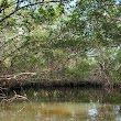 Cockroach Bay Preserve State Park