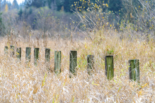 Park «N. Creek Park», reviews and photos, 1011 183rd St SE, Bothell, WA 98012, USA