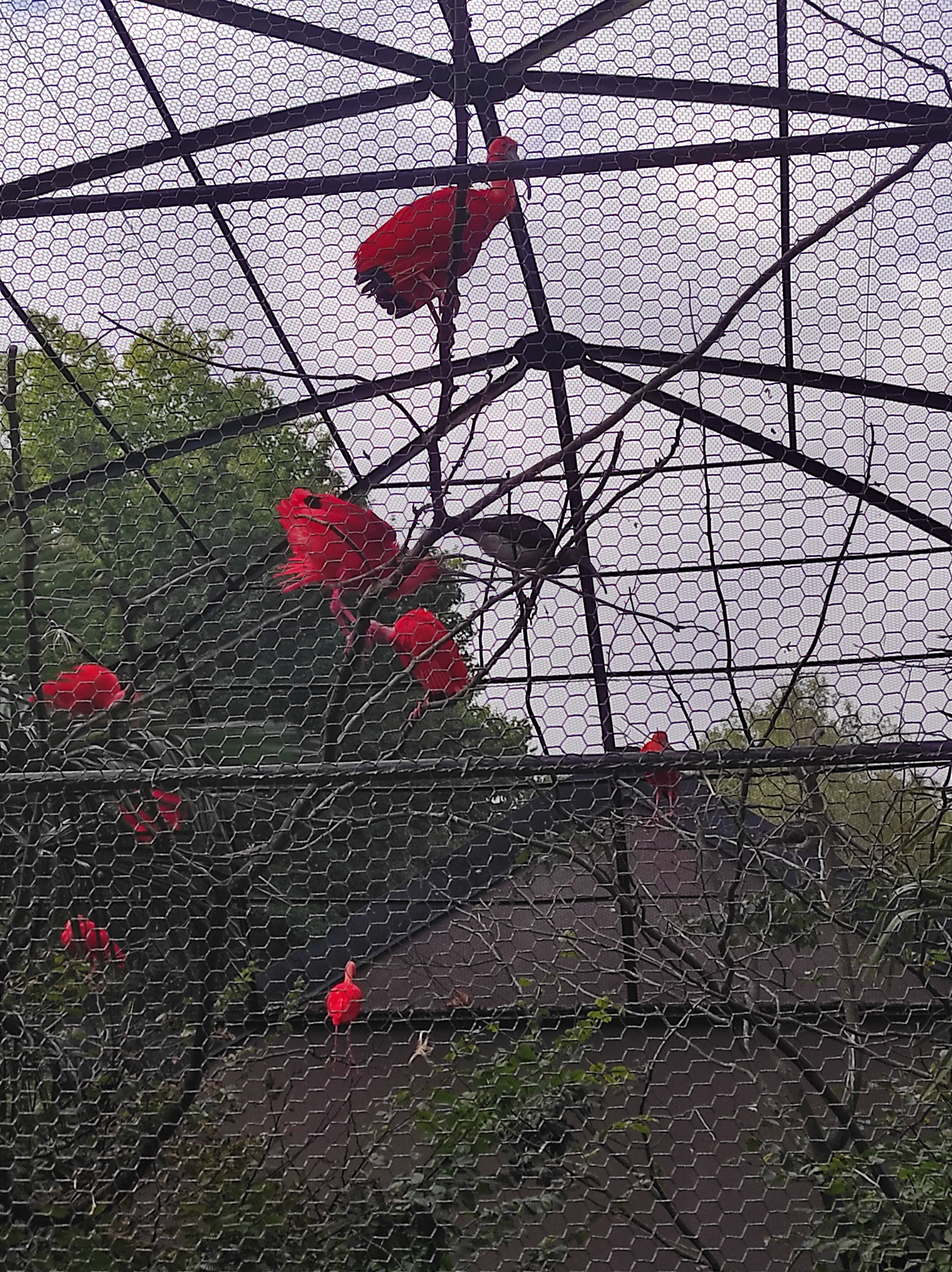 Photo n° 2 de l'avis de Agathe.o fait le 19/09/2021 à 11:11