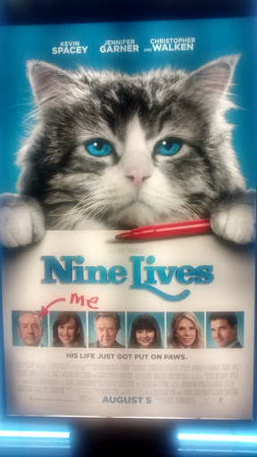 Movie Theater «AMC West Melbourne 12», reviews and photos, 4255 Norfolk Pkwy, West Melbourne, FL 32904, USA