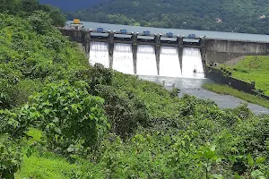Vadiwale Dam View image