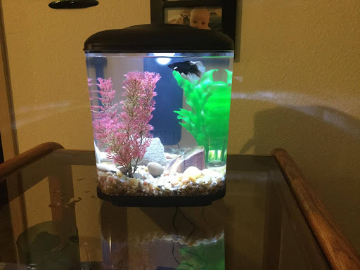 Pet Supply Store «Pet Loft», reviews and photos, 6333 SW Macadam Ave #104, Portland, OR 97239, USA