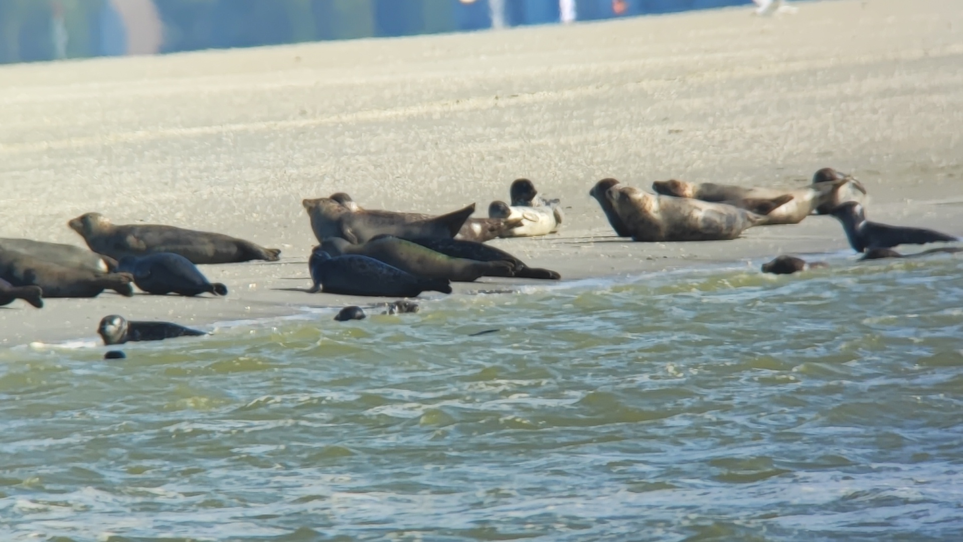 Photo n° 7 de l'avis de Raz.o fait le 29/07/2021 à 18:46