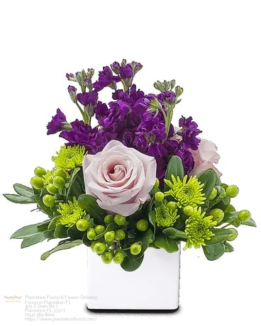 Florist «Plantation Florist», reviews and photos, 405 S State Rd 7, Plantation, FL 33317, USA