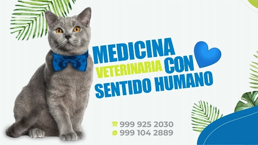 Hospital Veterinario del Mayab