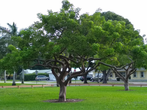 Park «Liberty Tree Park», reviews and photos, 7421 NW 5th St, Plantation, FL 33317, USA