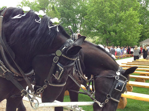 Wedding Venue «Ellis Ranch Event Center & Wedding Park», reviews and photos, 2331 Ellis Ranch Ln, Loveland, CO 80538, USA