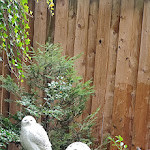 Photo n° 2 de l'avis de Aurélie.e fait le 29/10/2023 à 10:13 pour Zoo de La Flèche à La Flèche