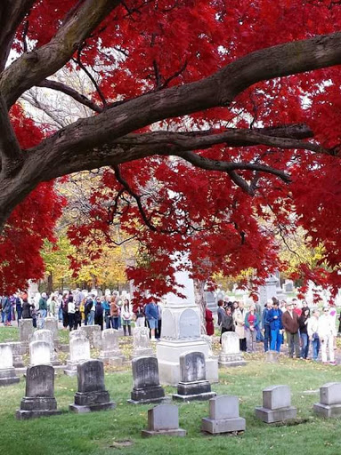 Bicycle Store «Freewheelers», reviews and photos, 1757 Mt Hope Ave, Rochester, NY 14620, USA