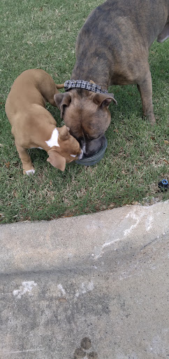 Bakery «Krispy Kreme Doughnuts», reviews and photos, 12586 Research Blvd, Austin, TX 78759, USA