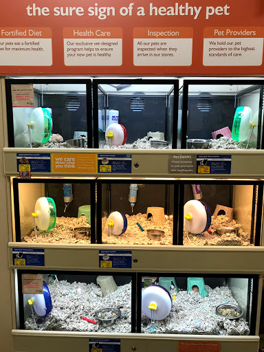 Pet Supply Store «PetSmart», reviews and photos, 4056 Atlanta Hwy, Loganville, GA 30052, USA