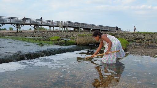 State Park «Silver Sands State Park», reviews and photos, 1 Silver Sands Park Way, Milford, CT 06460, USA