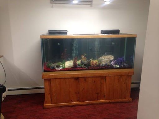 Jeweler «Joseph Janvier Jewelers», reviews and photos, 1310 Kirkwood Hwy, Wilmington, DE 19805, USA