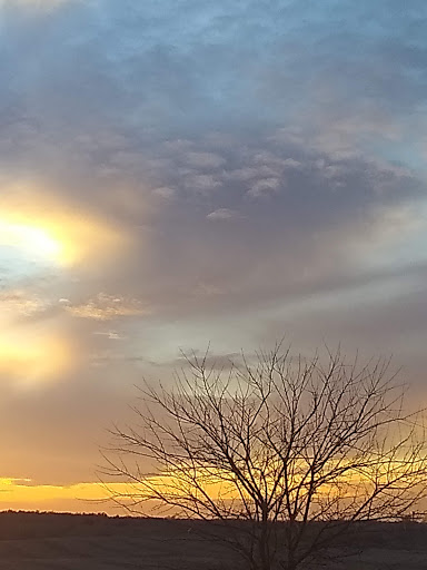 Department Store «Walmart Supercenter», reviews and photos, 415 Industrial Ave, Grinnell, IA 50112, USA