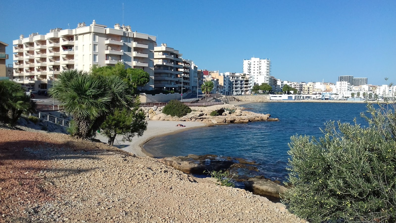 Foto af Platja dels Pinets med grønt vand overflade